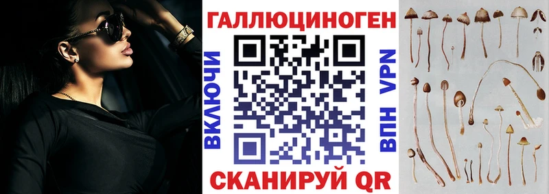 наркота  Губаха  Галлюциногенные грибы Cubensis 