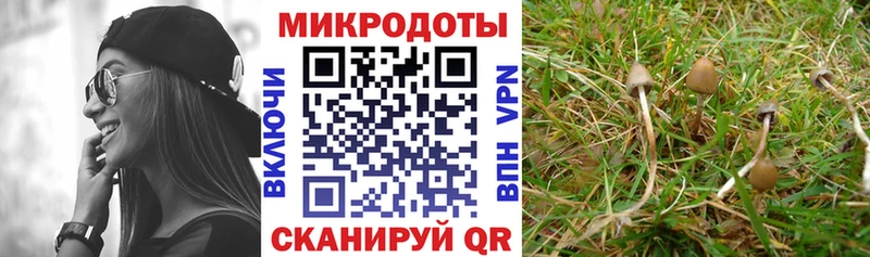 Галлюциногенные грибы прущие грибы Губаха